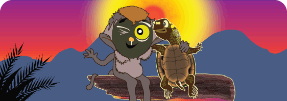 Take a look inside The Monkey and the Turtle!